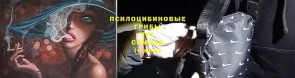 прущая мука Заволжье