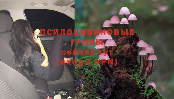 мяу мяу кристалл Заводоуковск