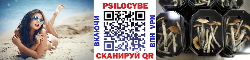 mega как зайти  Южноуральск  Псилоцибиновые грибы MAGIC MUSHROOMS 